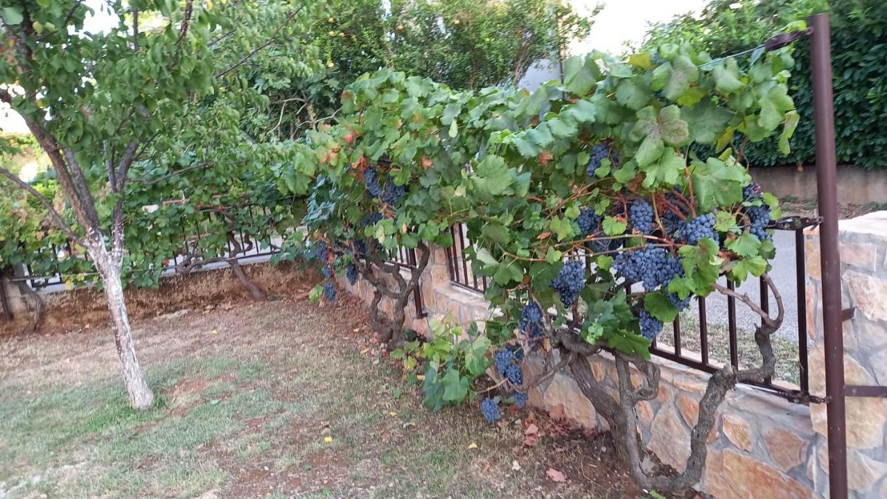 Villa Vinka 莫斯塔尔 外观 照片